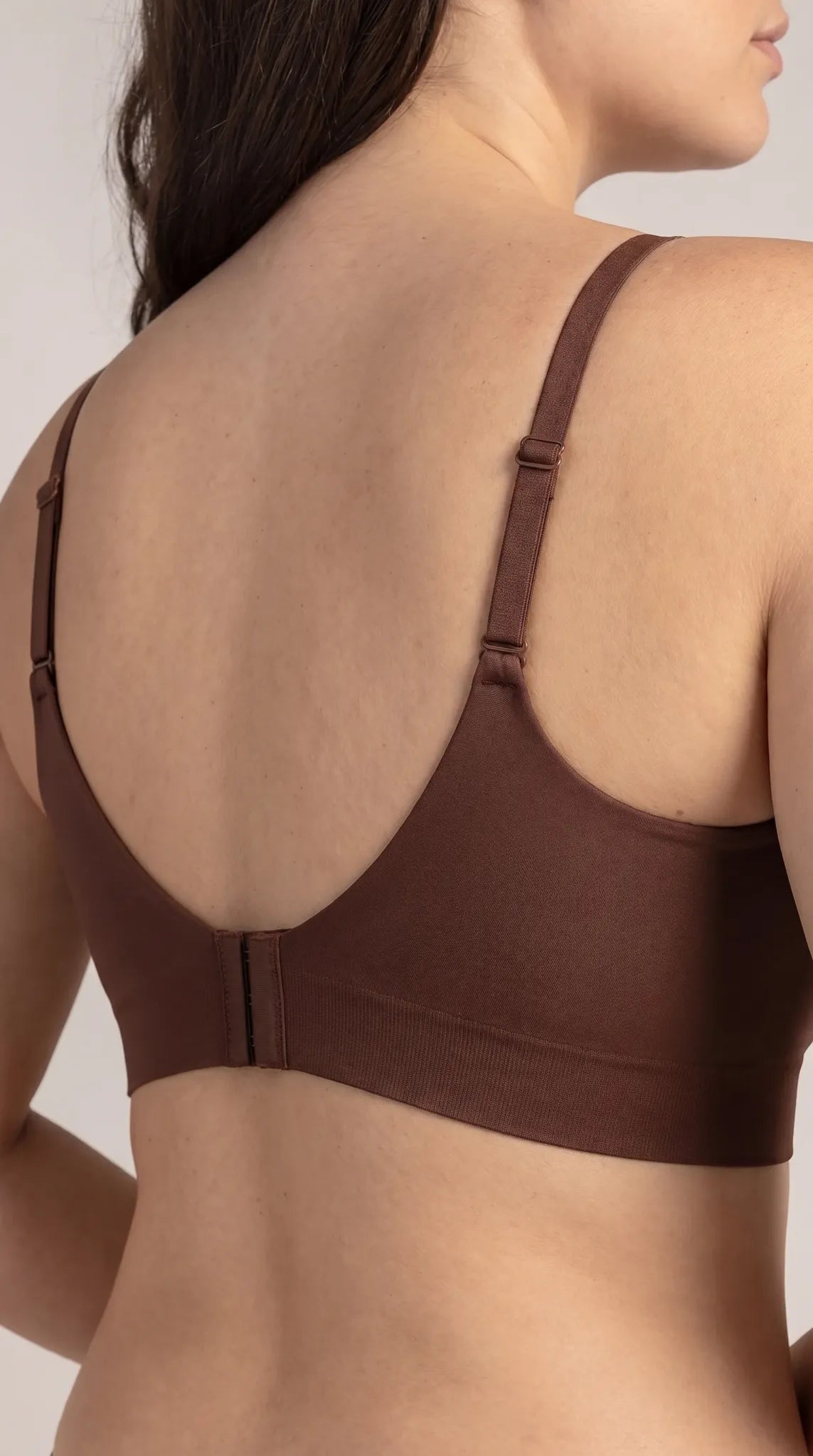 Chocolate back view